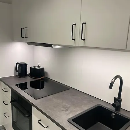 Casa Enrica - Bilocale A Con Giardino * Solduno