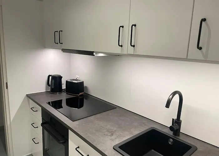 Casa Enrica - Bilocale A Con Giardino * Solduno