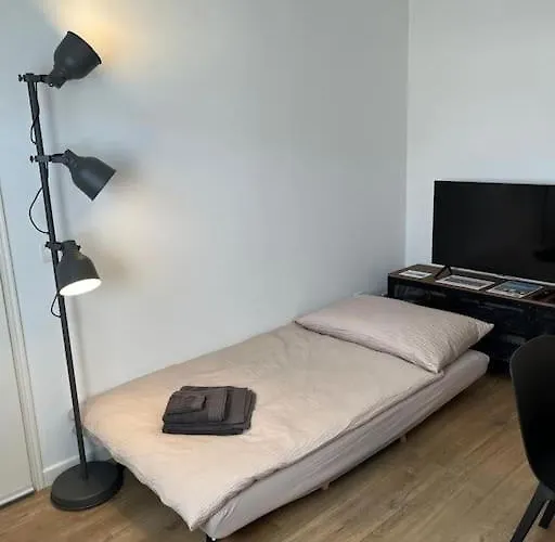 펜션 Casa Enrica - Bilocale A Con Giardino Solduno